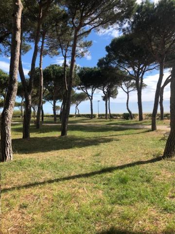 Mer Soleil Pinede Argelès-sur-Mer Exterior foto