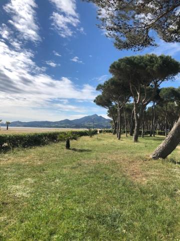 Mer Soleil Pinede Argelès-sur-Mer Exterior foto